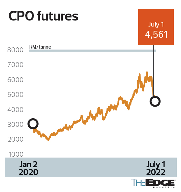 palm-oil-correction-seen-as-overdone-but-lower-average-prices-expected